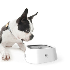Pet Water Feeder Dispenser